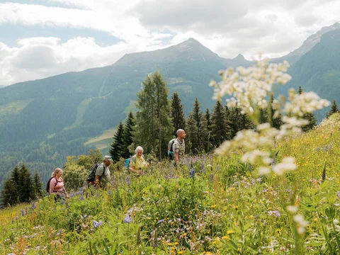 Bergsommer in den Hohen Tauern